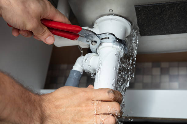Best Local water damage restoration  in Bellview, FL