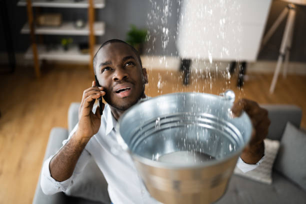 Best Water damage restoration near me  in Bellview, FL