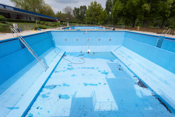 Best Commercial water damage restoration  in Bellview, FL