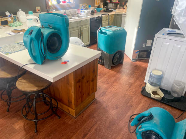 Best Ceiling water damage repair  in Bellview, FL