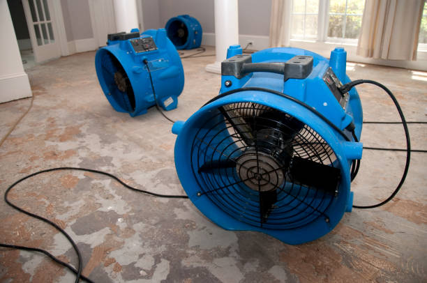 Best Emergency water damage restoration  in Bellview, FL