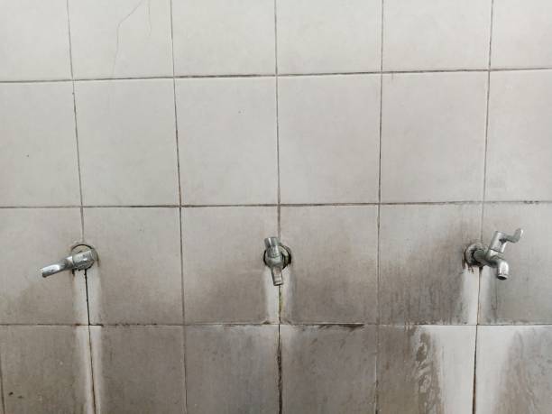 Best Water damage restoration near me  in Bellview, FL