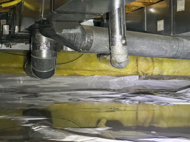 Best Ceiling water damage repair  in Bellview, FL