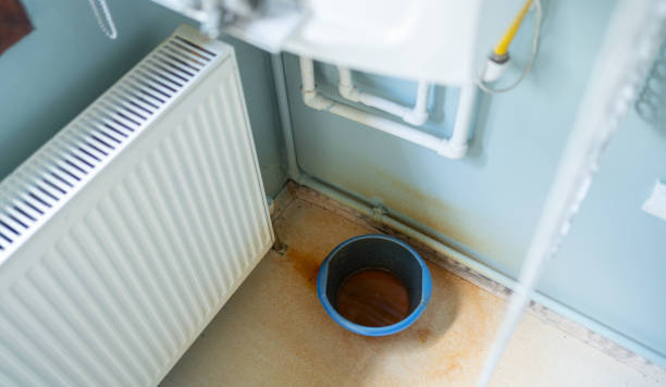 Best Residential water damage restoration  in Bellview, FL